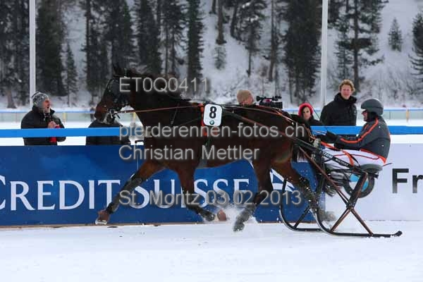 ET0Q0411 prot